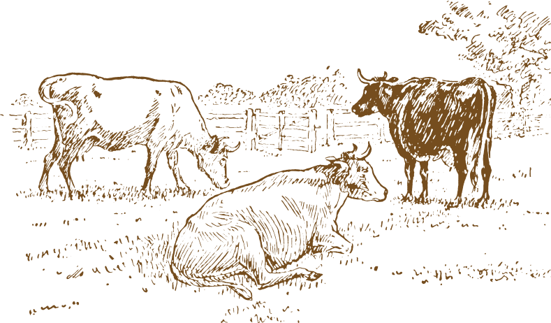 cow feeding img - nature cure