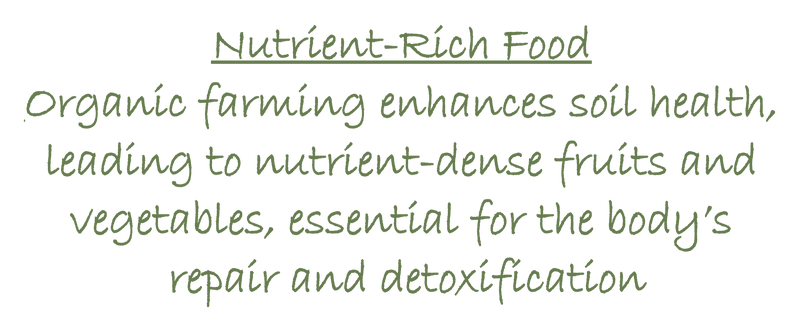 naturopathy text img 1 - nature cure