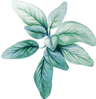 plant img - nature cure