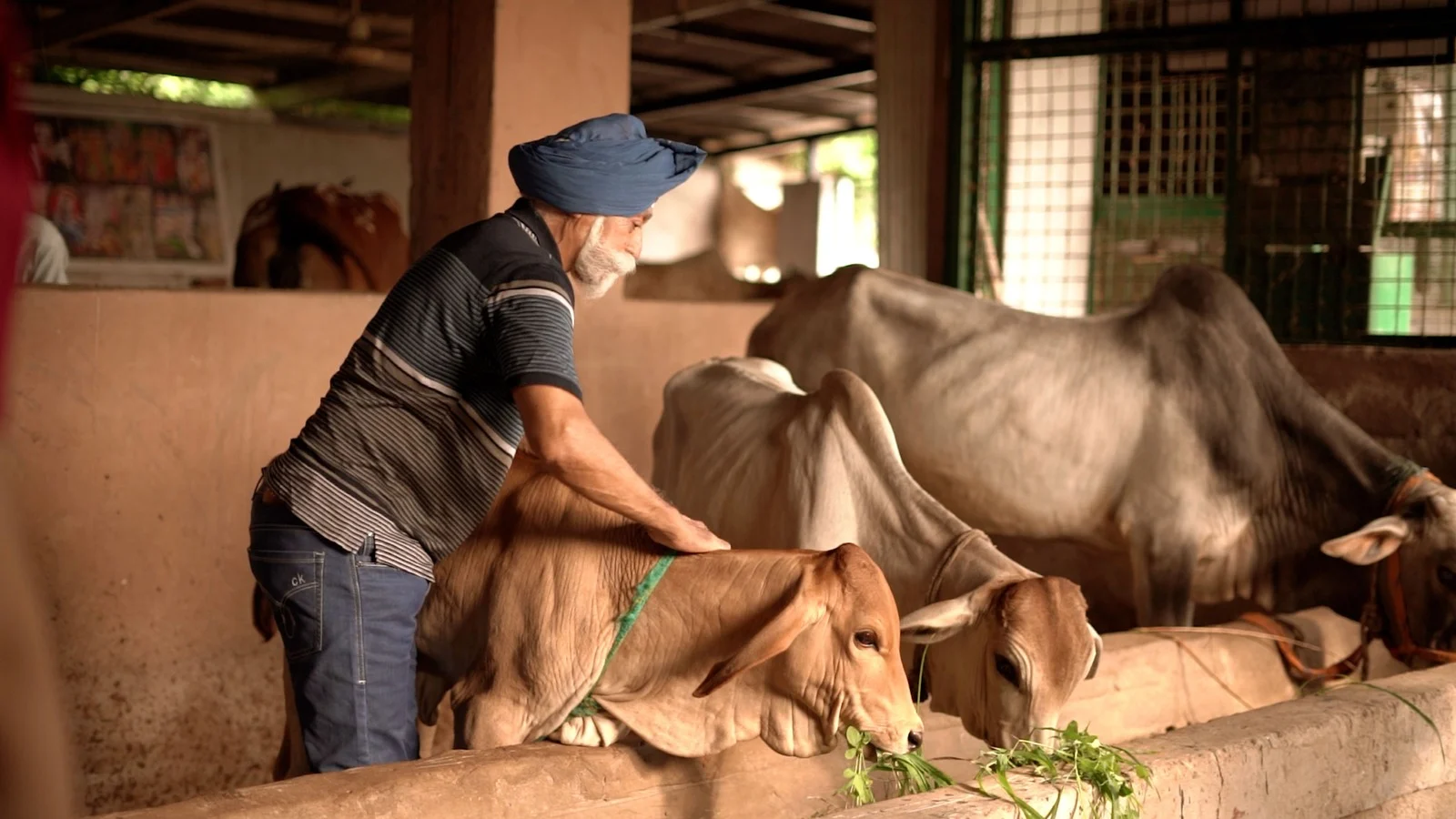 Govind Ji Gaushala - nature cure